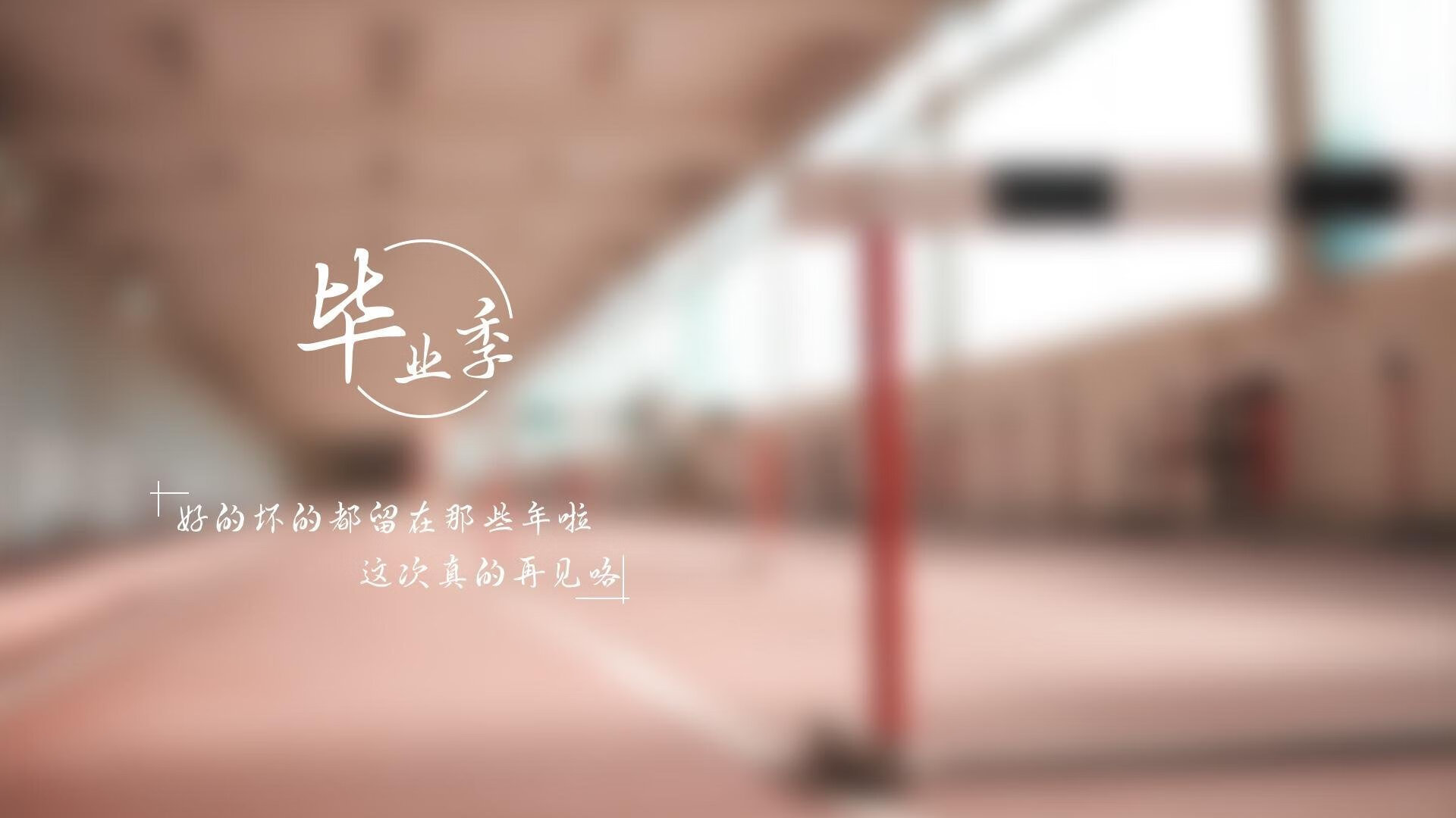 布莱顿深陷降级区，球员伤病不断，球队改变战术备战未来赛事，布莱顿4