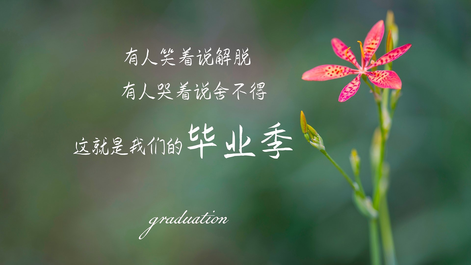 九游下载官网-韩国芯片企业加强全球布局，韩国的芯片企业