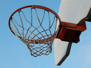 九游娱乐(jiuyou)官方网站-NBA球员防守意识培养训练法与行为转化研究，nba2021球员防守效率