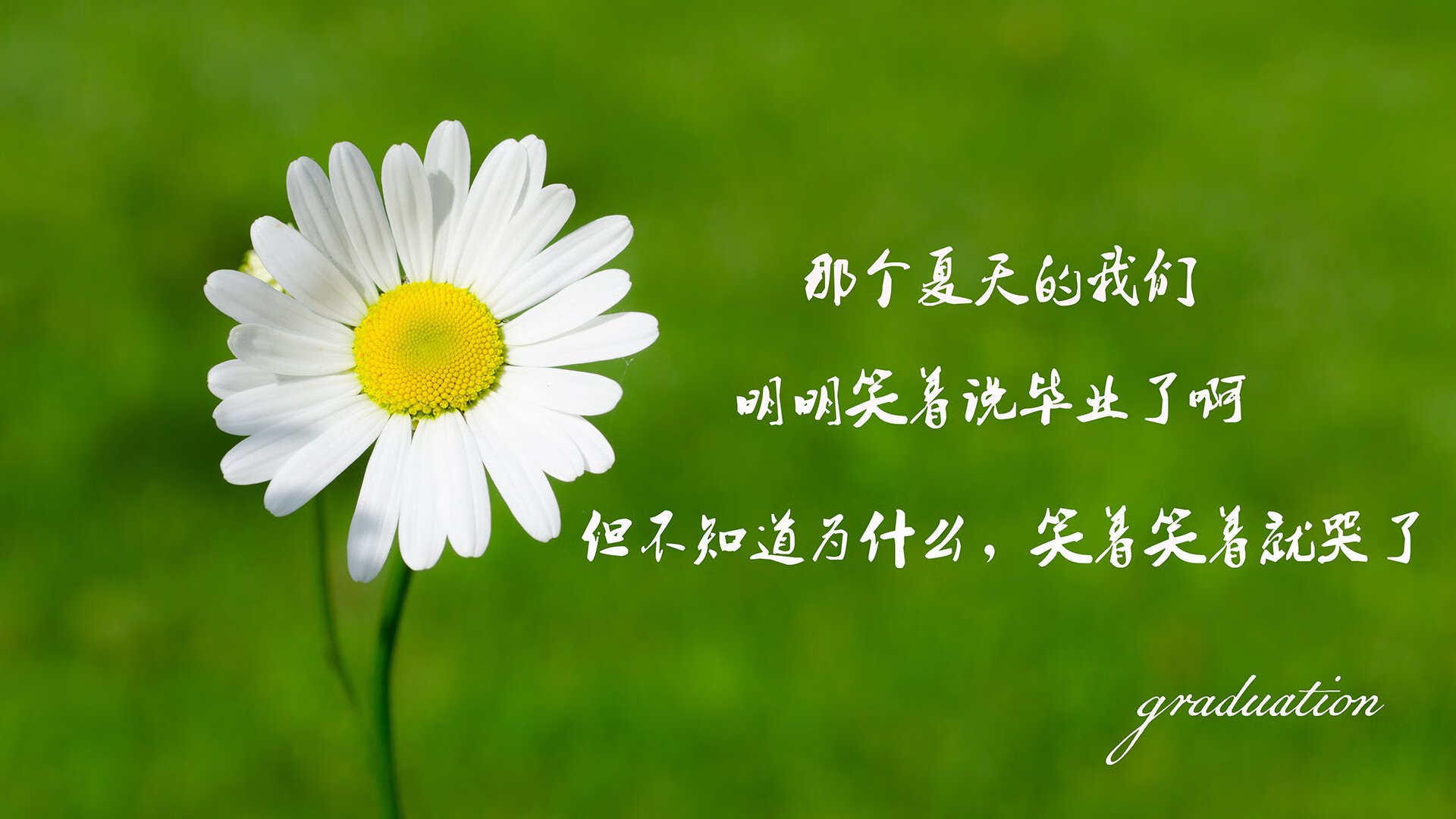 篮球专项技能训练方法创新与个性化教学实践，篮球专项功能性训练计划