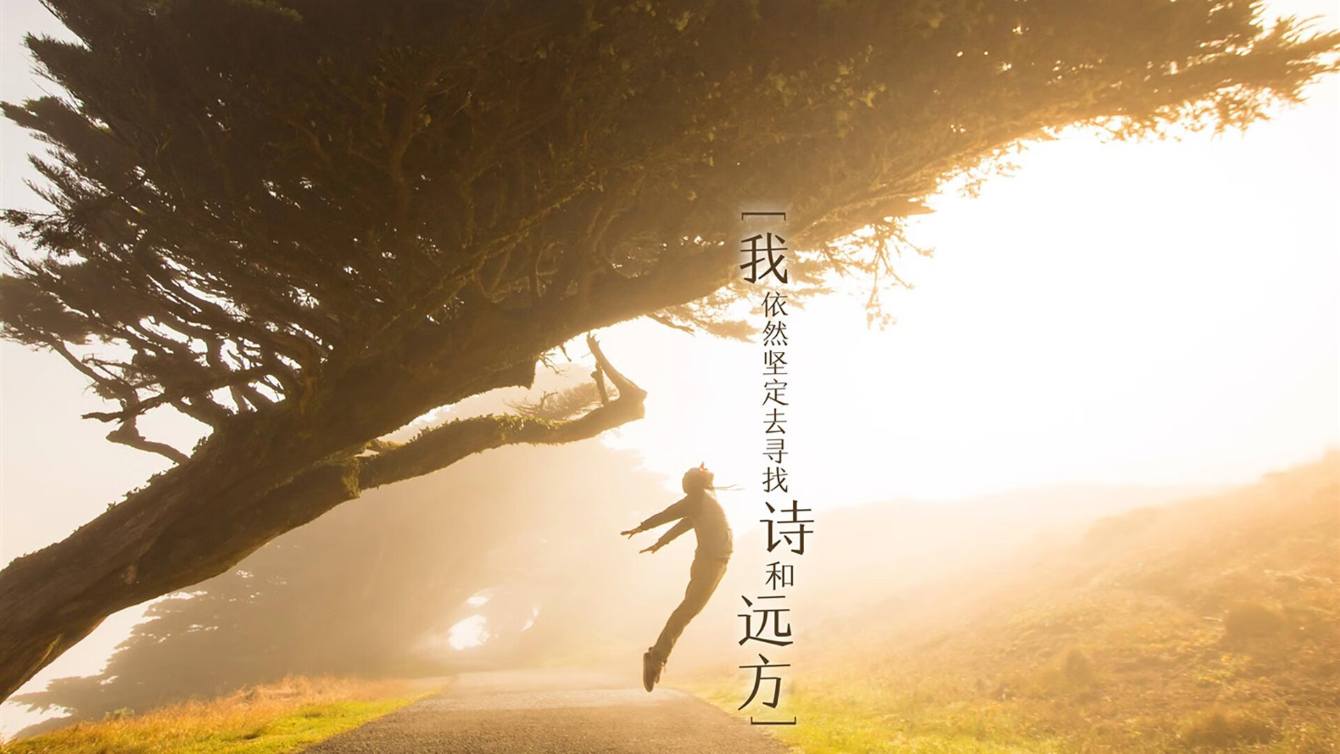 篮球运动员训练负荷智能监控系统研发及应用，基础阶段篮球训练负荷安排