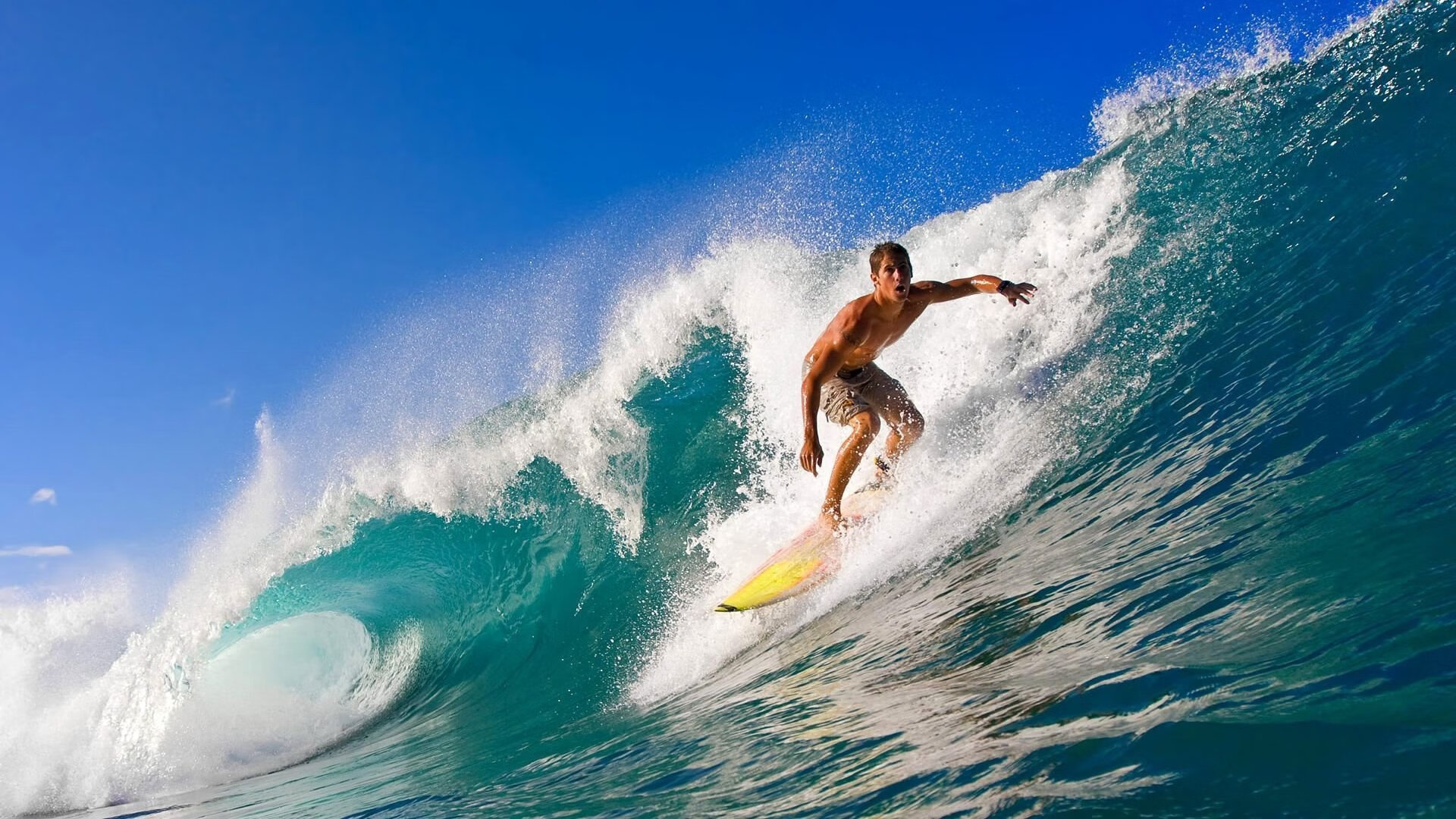 【未来青训】用AI筛选潜力新星,培养“下一颗星”